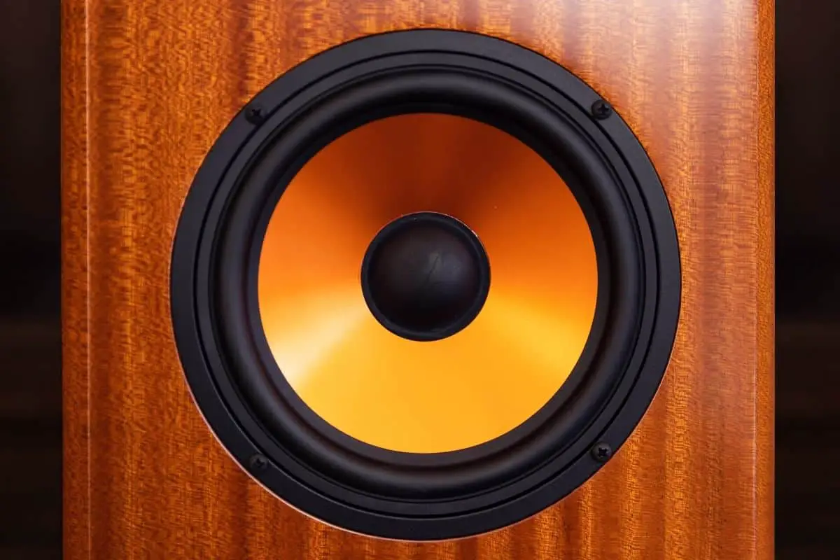 Are Subwoofers Necessary? (Cars, Home Theater and Music) Ear Rockers