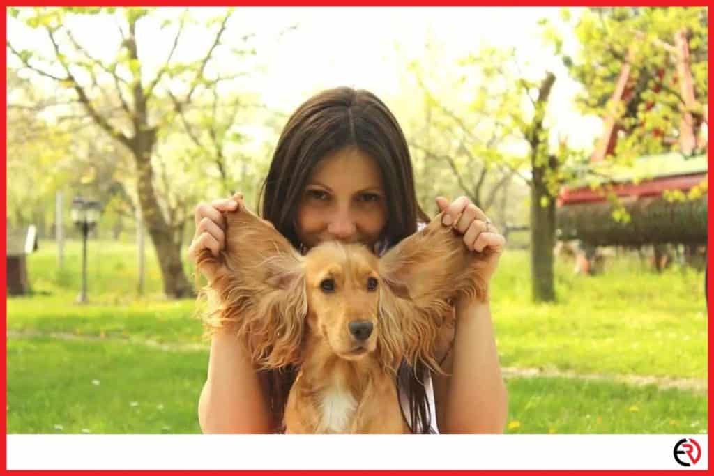 4 Best Gaming Headsets For Big Ears Ear Rockers