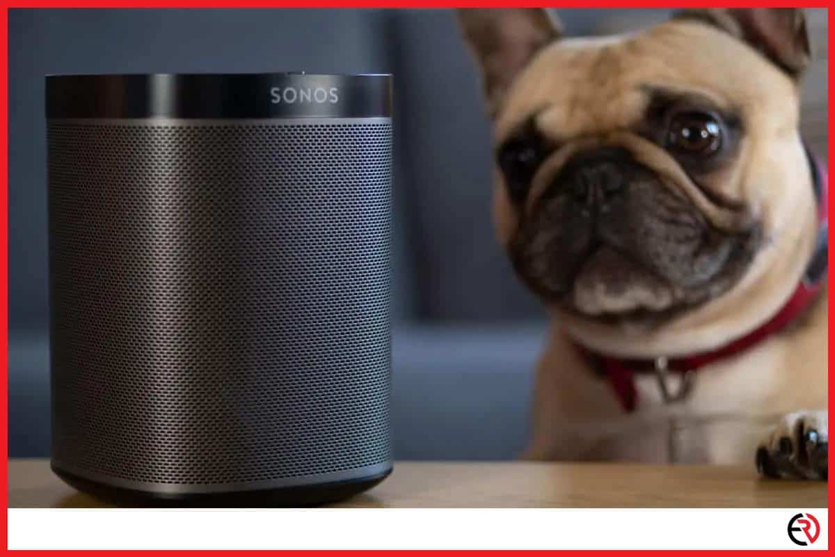 A dog beside a Sonos speaker
