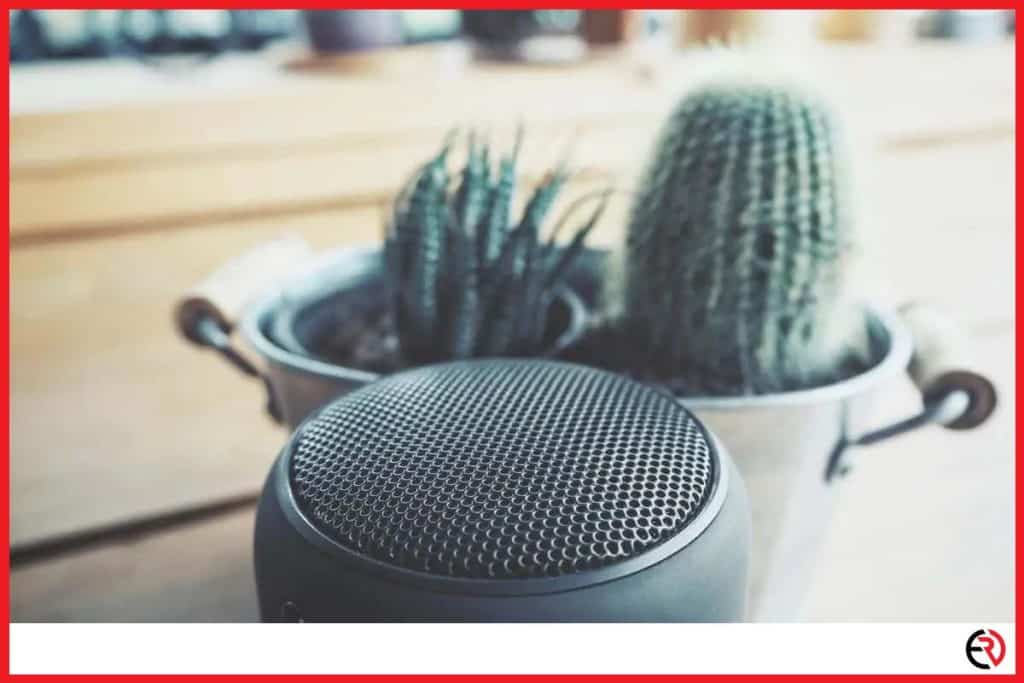 Can You Use Bluetooth Speakers While Charging? Ear Rockers